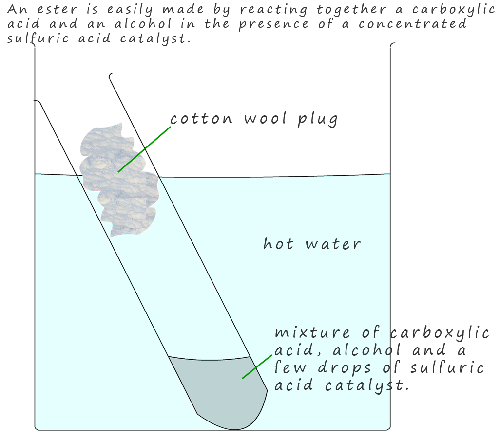 making esters using a carboxylic acid and an alcohol